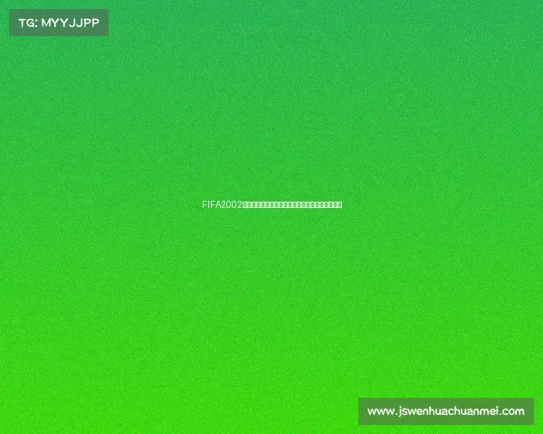 FIFA2002世界杯技巧大全进阶操作与实战攻略解析全攻略版